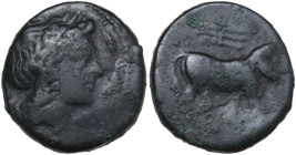 Greek Italy. Central and Southern Campania, Neapolis. AE 17 mm, 300-275 BC. Obv. Laureate head of Apollo right; surrounded by four dolphins. Rev. Man-...