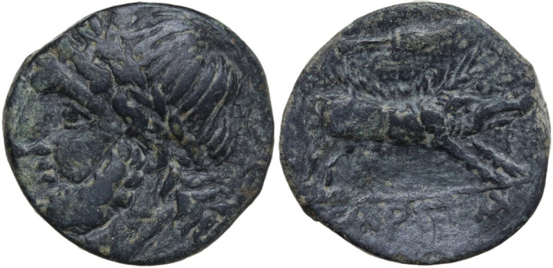 Greek Italy. Northern Apulia, Arpi. AE 19 mm, 325-275 BC. Obv. Head of Zeus left...