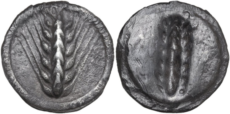 Greek Italy. Southern Lucania, Metapontum. AR Stater, 510-470 BC. Obv. Ear of ba...