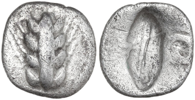 Greek Italy. Southern Lucania, Metapontum. AR Diobol, 470-440 BC. Obv. Ear of ba...