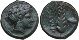 Greek Italy. Southern Lucania, Metapontum. AE Obol, 400-340 BC. Obv. Head of Demeter right. Rev. Ear of barley; to right, poppy head. HN Italy 1640; H...