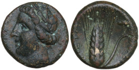 Greek Italy. Southern Lucania, Metapontum. AE 14 mm, c. 300-250. Obv. Head of Demeter left, wearing barley wreath. Rev. Barley-ear with leaf to right;...