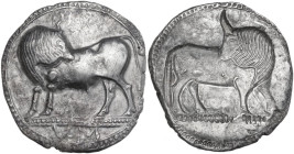 Greek Italy. Southern Lucania, Sybaris. AR Stater, c. 550-510 BC. Obv. Bull standing left, head right; in exergue, VM. Rev. Incuse bull standing right...