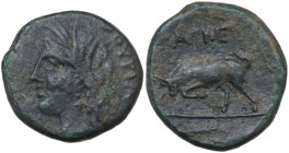 Greek Italy. Southern Lucania, Thurium. AE 17 mm, 216-204 BC. Obv. Head of Demeter left, wearing wreath of grain. Rev. Bull butting left; in exergue, ...
