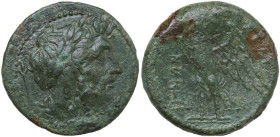 Greek Italy. Bruttium, The Brettii. AE Unit (Drachm), 211-208 BC. Obv. Laureate head of Zeus right; behind, sceptre. Rev. Eagle standing left on thund...