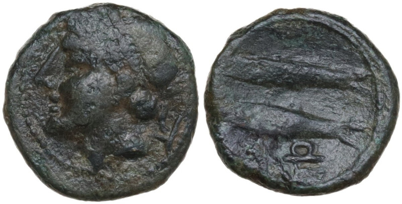 Sicily. Leontini. Roman Rule. AE 11 mm, after 212 BC. Obv. Laureate head of Apol...