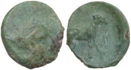 Sicily. Nakona. AE 13 mm, 330-310 BC. Obv. Female head right. Rev. Goat standing right; before, corn of grain. CNS I 5. AE. 2.15 g. 13.50 mm. Bright g...
