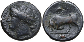 Sicily. Syracuse. Agathokles (317-289 BC). AE 20 mm. Obv. Head of Persephone left, wearing wreath of grain. Rev. Bull butting left; above, dolphin and...