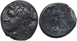 Sicily. Syracuse. Hiketas (287-278 BC). AE 22 mm. Obv. Laureate head of Zeus Hellanios left. Rev. Eagle standing left on thunderbolt, wings open. CNS ...