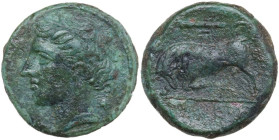 Sicily. Syracuse. Hieron II (274-215 BC). AE 19 mm. Obv. Head of Persephone left, wearing wreath of grain. Rev. Bull butting left; above, club. CNS II...