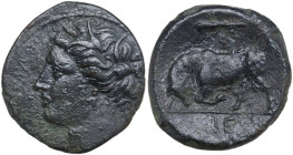 Sicily. Syracuse. Hieron II (274-215 BC). AE 20 mm. Obv. Head of Persephone left, wearing wreath of grain. Rev. Bull butting left; above, club; in exe...