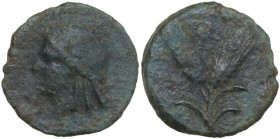 Sicily. Uncertain mint. Under roman rule. AE 16.5 mm, c. 204-190 BC. Obv. Laureate head of Apollo left. Rev. Two grain ears; Q above. HGC 2 1698; CNS ...