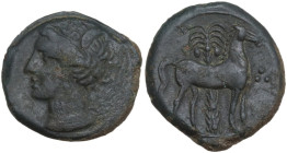 Punic Sicily. AE 16 mm, late 4th-early 3rd century BC. Obv. Head of Tanit left, wearing wreath of grain. Rev. Horse standing left before palm tree; to...