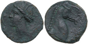 Punic Sardinia. AE 18 mm, 300-264 BC. Obv. Head of Tanit left, wearing wreath of grain. Rev. Head of horse right. SNG Cop. 149-150. AE. 5.33 g. 18.00 ...