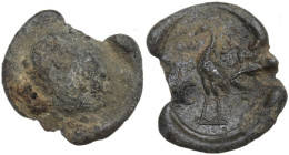 The Roman Empire. PB Seal, 1st century BC-1st century AD. D/ Head right. R/ Ostrich standing left. PB. 1.71 g. 14.00 mm. Good F/About VF.