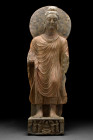 Ca. 200-300 AD.
A grey schist carving of a standing Buddha. This excellent figure is backed by a circular halo and dressed in a flowing Kasaya (monast...