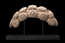 Ca. 200-300 AD.
An arch-shaped schist frieze exhibiting unparalleled craftsmanship, with intricate carvings of Bodhi tree leaves adorning its surface....