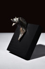 Ca. 100-300 AD.
A bronze protome of a beast. With a neck that curves with sinuous elegance, the creature exudes an air of quiet majesty, as if frozen ...
