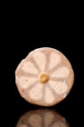 Ca.1184-1153 BC.
A conical-shaped glazed faience composition set with creamy brown petals on a brown background with a yellow central boss. Thousands ...