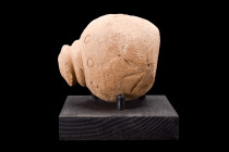 Ca. 800-1000 AD.
A ceramic hollow vessel featuring a domed spout for filling. A decorative register of punched etchings runs through the upper section...