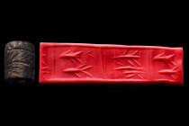 Ca. 3000 BC.
A black stone cylinder seal in a good condition. Two sections separated by vertical rulings, in the one two fish, in the other one fish a...