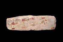 Ca. 8000-6000 BC.
Crafted from flint, a durable and abundant material during the Neolithic period, this axe exhibits a distinctive square butt, a desi...