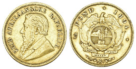 Süd Afrika 1894