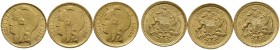 Chile. Republik. Lot (3 Stücke): 5 Pesos 1895. Libertasbüste mit Kappe. KM 153, Fr. 50. zus. 8,25 g Feingold (917er)
prägefrisch