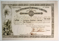 Turkey The Ottoman Company Share of £20 1864