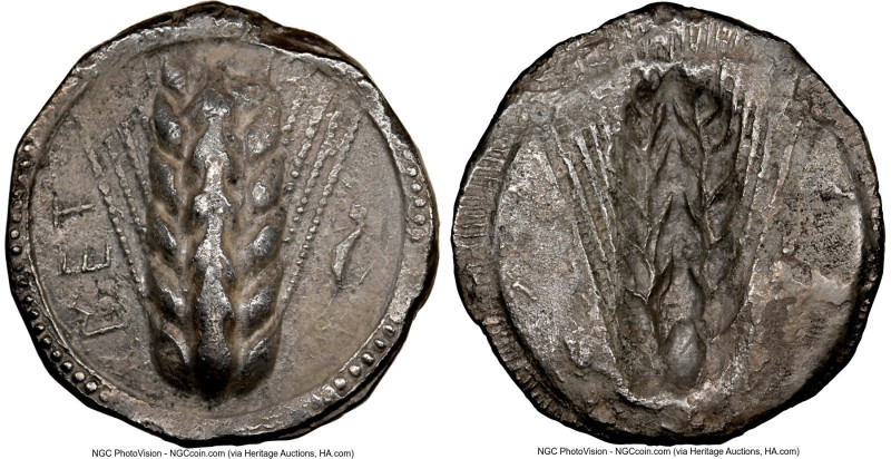LUCANIA. Metapontum. Ca. 510-470 BC. AR stater (23mm, 6h). NGC Choice VF. MET, g...