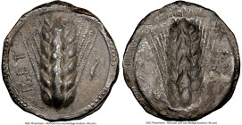 LUCANIA. Metapontum. Ca. 510-470 BC. AR stater (23mm, 6h). NGC Choice VF. MET, grain ear, lizard to right; dotted border on raised rim / Incuse grain ...