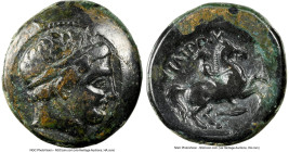 MACEDONIAN KINGDOM. Philip II (359-336 BC). AE unit (17mm, 9h). NGC Choice Fine. Uncertain mint in Macedonia. Head of Apollo right, wearing taenia / Φ...