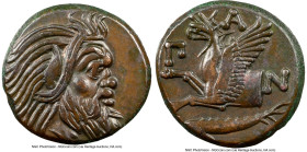 CIMMERIAN BOSPORUS. Panticapaeum. 4th century BC. AE (20mm, 6.45 gm, 11h). NGC Choice XF 4/5 - 5/5. Head of bearded Pan right / Π-A-N, forepart of gri...