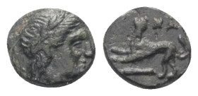 Inseln vor Aiolis. Nasos Pordosilene.

 Bronze. 3. - 2. Jhdt. v. Chr.
Vs: Kopf des Apollon mit Lorbeerkranz rechts.
Rs: Panther nach links stehend...