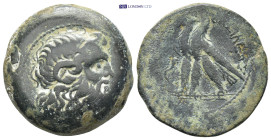 Ptolemaic Kingdom. Ptolemy VIII Euergetes II (Physcon) 145-116 B.C. AE Alexandreia. 
16 Gr. 28mm.
 Diademed head of Zeus-Ammon right 
Rev. Two eagles ...