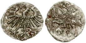 Lithuania Denar 1556 Vilnius (R)