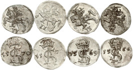 Lithuania Dwudenar 1566 - 1570 Vilnius Lot of 4 coins