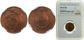 Somalia Italian Somaliland Italian colony 1950 1 Centesimo Brass (Cu 95%, Zn 5%) Rome Mint (4000000) 3g NGC MS 63 RB KM 1 Schön 1