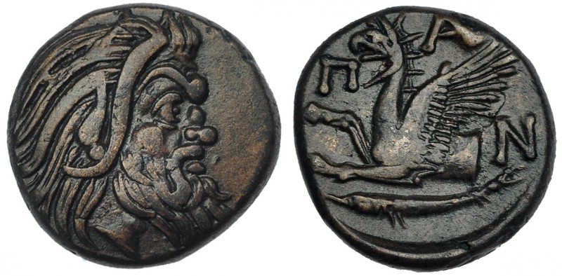 BÓSFORO. Pantikapaion. AE-20 (310-303 a.C.). A/ Cabeza barbada de Pan a der. R/ ...