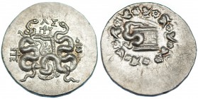 MISIA. Pérgamo. Cistóforo (123-67 a.C.). A/ Cesta mística y serpiente. R/ Dos serpientes y monograma. AR 12,68 g. COP-428. SBG-3800. EBC.