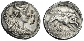 HOSIDIA. Denario. Sur de Italia (68 a.C.). A/ Busto diademado de Diana a der. con arco y carcaj; GETA III VIR. R/ Jabalí a der., sin lanza atacado por...
