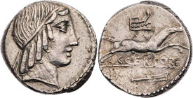 RÖMISCHE REPUBLIK
C. Marcius Censorinus, 88 v. Chr. AR-Denar Rom Vs.: Kopf des Apollo mit Tänie n. r., Rs.: Pferd springt n. r., darüber Prora, darun...
