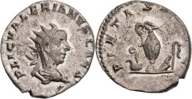 RÖMISCHE KAISERZEIT
Valerianus II. Caesar, 256-258 n. Chr. AR-Antoninian 256-257 n. Chr. Viminacium Vs.: P LIC VALERIANVS CAES, drapierte Büste mit S...