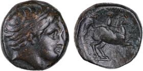 Macedonia, Kings of
Philip II 359-336 BC, Æ Unit, 16 mm, 6.01 g.