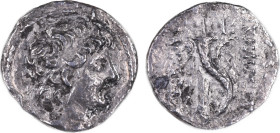 Seleukid Kings of Syria
Alexander II Zabinas 128-122 BC, AR Drachm, 17 mm, 3.56 g.