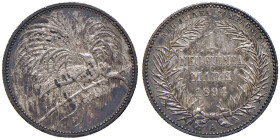 NUOVA GUINEA Dominazione tedesca - Marco 1894 A - KM 5 AG (g 5,56) R

SPL+