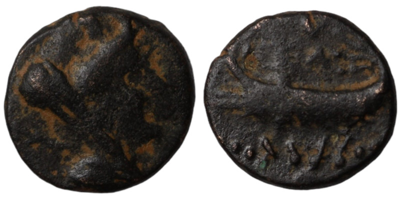 Phoenicia. Arados. (242-166 BC) Bronze. (16mm, 4,43g) Obv: head of Tyche right. ...