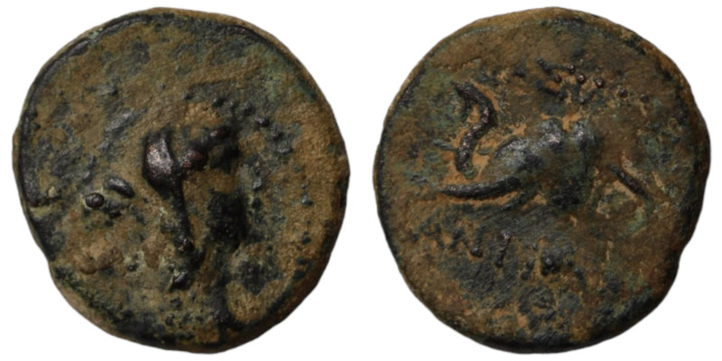 Antiochos IV. Epiphanes. (175-164 BC). Bronze . (17mm, 3,57g) Antioch.