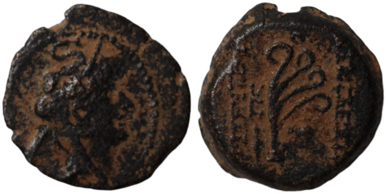 Seleucid Kingdom. undefined. (2.-1. Century BC). Bronze . (17mm 4,31g).
