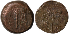 Antiochos VII. Euergetes. (138-129 BC). Bronze . (22mm 10,33g) Antioch.